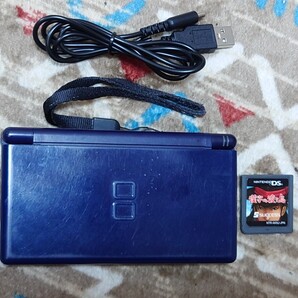 DS Lite ライト 本体 USB充電器 タッチペン 漢字の渡り鳥