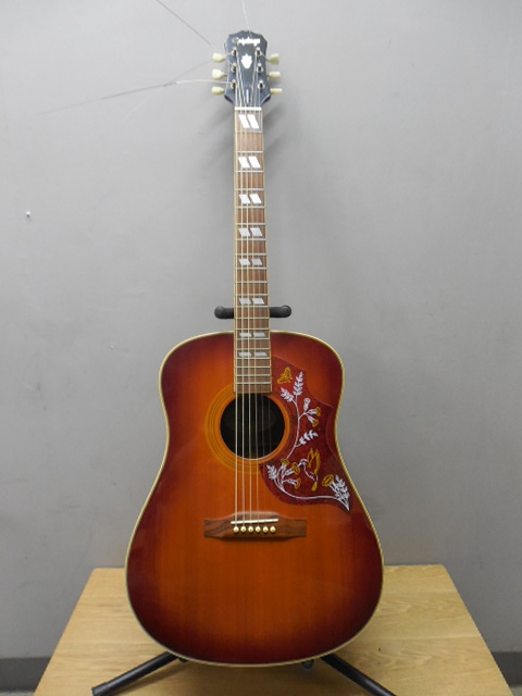 値下げ・中古・エピフォン<ハミングバード>初期モデル・トップ単板 2025年最新】Yahoo!オークション -エピフォン ハミングバードの
