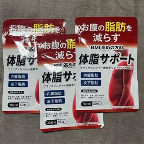 【新品未使用】体脂サポート 90日分(180粒) ダイエットサプリメント