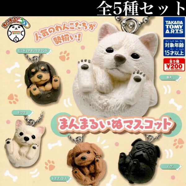 ■送料無料■ まんまるいぬ マスコット 全5種セット /どうぶつ/動物/犬/丸々/ミニチュア/フィギュア/コレクション/ガチャ/ボールチェーン付