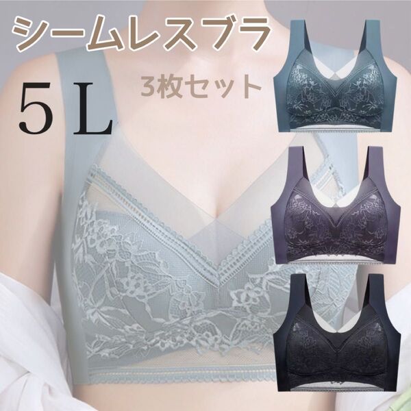 シームレスブラ ナイトブラ ノンワイヤー 美胸 5L 3枚セット 小さく 快適 着痩せ 胸を小さく見せるブラ 快適 通気性 伸縮性