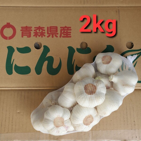 令和7年度 青森県産 生にんにく Lsize 2kg にんにく福地ホワイト