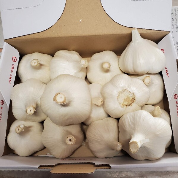 令和7年度 青森県産 にんにく Lサイズ1kg