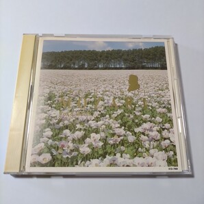 【CD】 THE BEST OF MOZART Vol.8 協奏曲