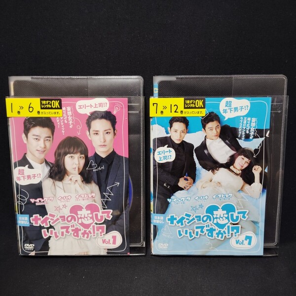 ナイショの恋していいですか!? DVD 全巻セット 全12巻 韓国ドラマ 韓流 ソ・イングク 国内正規品 レンタル落ち 送料無料 薄型ケース付き