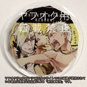 完売品 笹川了平&ルッスーリア 家庭教師ヒットマンREBORN!リボーン THEキャラ PALE TONE series アクリルバッジ ヴァリアー ザッキャラ