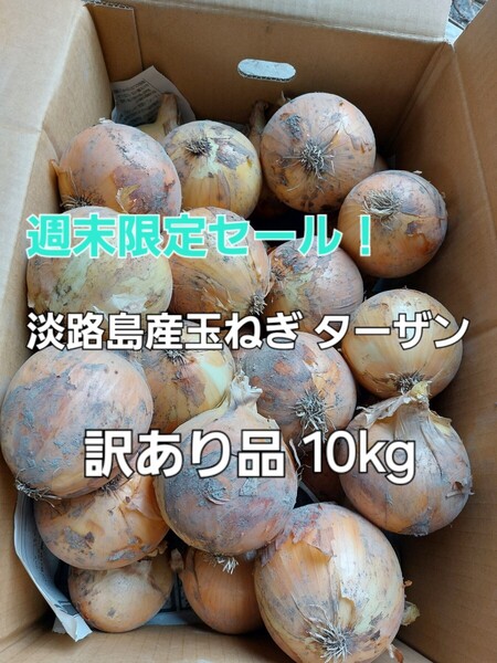 週末限定セール 産地直送 淡路島産玉ねぎ ターザン 訳あり 10kg