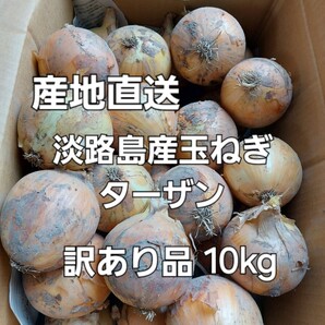 産地直送 淡路島産玉ねぎ ターザン 規格外品 10kg