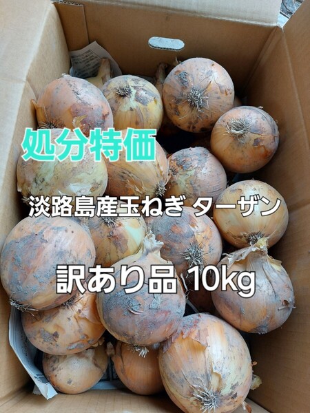 大処分セール中 産地直送 淡路島産玉ねぎ ターザン 訳あり 10kg