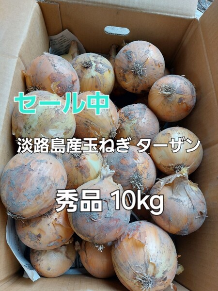 セール中 産地直送 淡路島産玉ねぎ ターザン 正規品 10kg