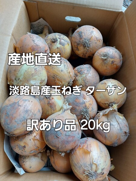 産地直送 淡路島産玉ねぎ ターザン 規格外品 20kg