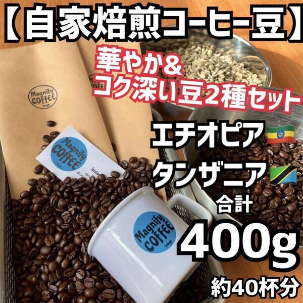 【匿名配送】自家焙煎コーヒー豆 華やか&コク深い珈琲豆2種セット(タンザニア(キリマンジャロ)/エチオピアモカ)400g /約40杯分 (豆or粉)
