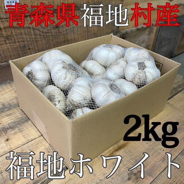 福地ホワイト発祥の地 福地村産 元祖福地ホワイト 土付き L 2kg 青森県産 半生 半乾燥 令和7年産 農家直送 夏坂ふぁーむ 低農薬