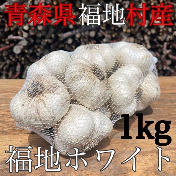 福地ホワイト発祥の地 福地村産 元祖福地ホワイト 土付き L 1kg 青森県産 半生 半乾燥 令和7年産 農家直送 夏坂ふぁーむ 低農薬