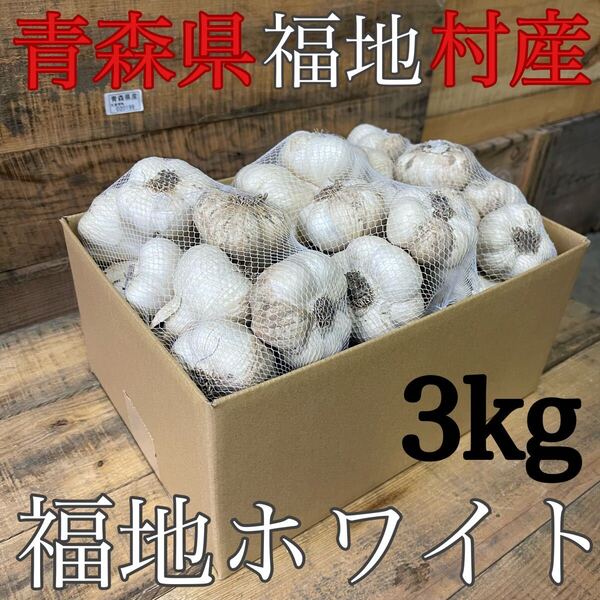 福地ホワイト発祥の地 福地村産 元祖福地ホワイト 土付き L 3kg 青森県産 半生 半乾燥 令和7年産 農家直送 夏坂ふぁーむ 低農薬