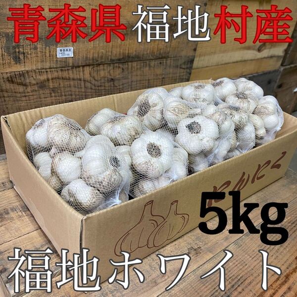 福地ホワイト発祥の地 福地村産 元祖福地ホワイト 土付き L 5kg 青森県産 半生 半乾燥 令和7年産 農家直送 夏坂ふぁーむ 低農薬
