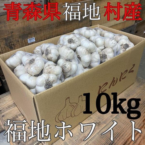 福地ホワイト発祥の地 福地村産 元祖福地ホワイト 土付き L 10kg 青森県産 乾燥にんにく 令和7年産 農家直送 夏坂ふぁーむ 低農薬