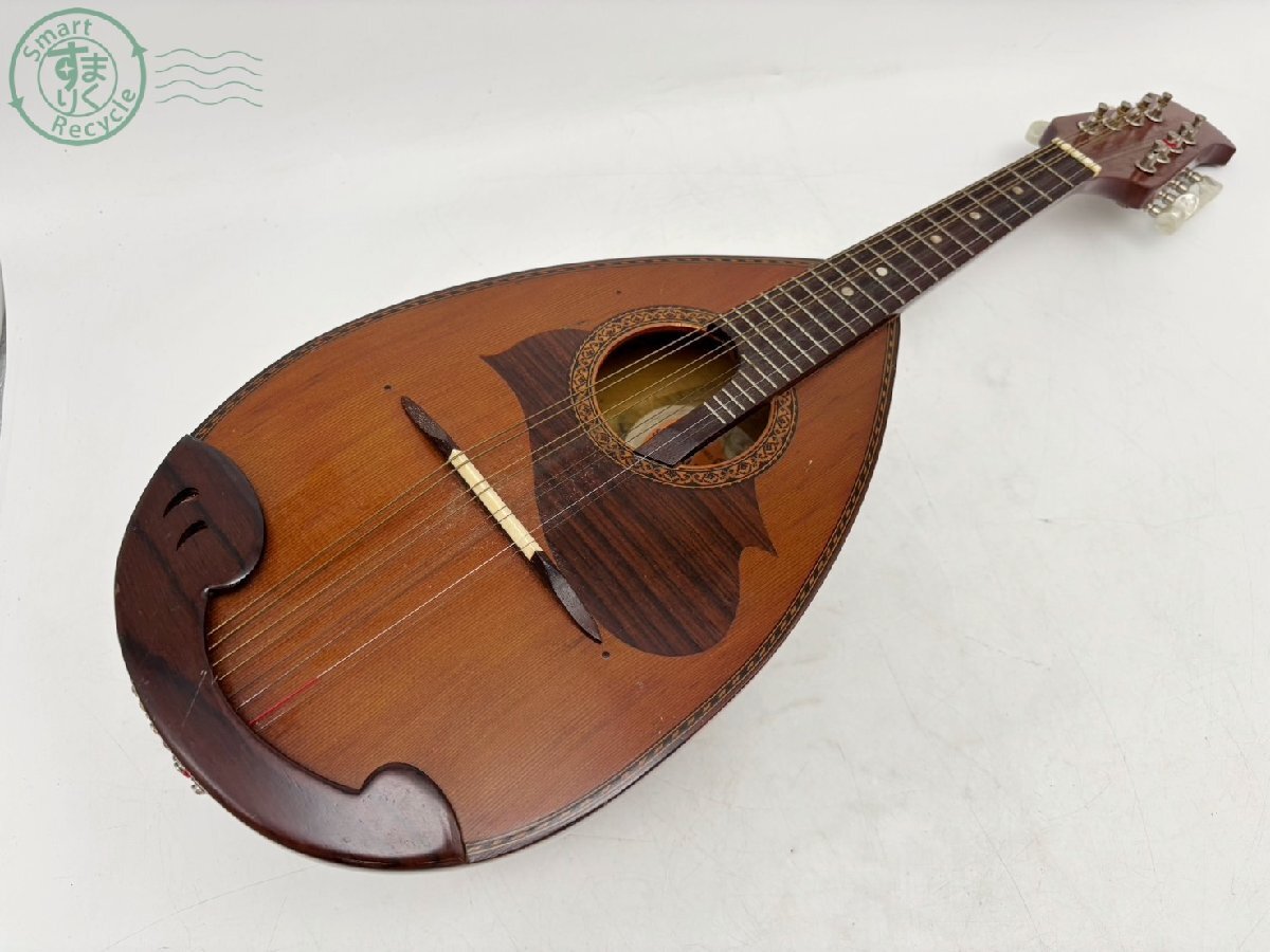 Suzuki Violin フラットマンドリン 鈴木バイオリン Yahoo!オークション -「suzuki violin」(マンドリン) (弦楽器)の