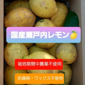 広島県産レモン約2キロ ★訳あり★②