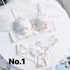 ブラジャーショーツセット 下着 女性下着 インナーウェア ブラ ブラジャー ショーツ 大きいサイズNo.1