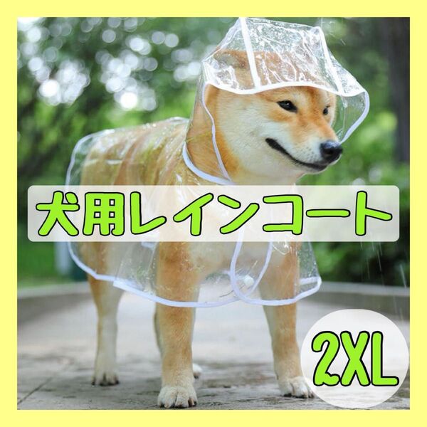レインコート ポンチョ 雨具 犬用レインコート ペット服 フード付 犬 散歩 アウトドア 透明 クリア ペット カッパ 犬