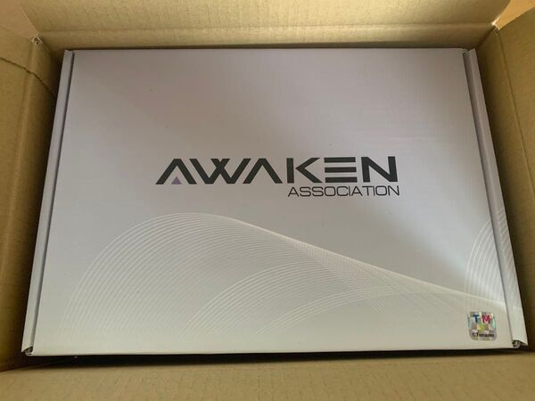 Awaken 崩壊スターレイル ホタル 1/4 胸像 ガレージキット ガレキ