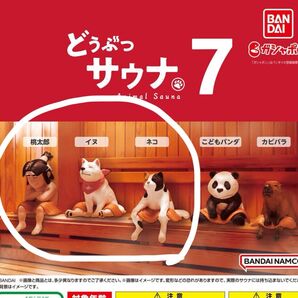 どうぶつサウナ 7 カプセルトイ