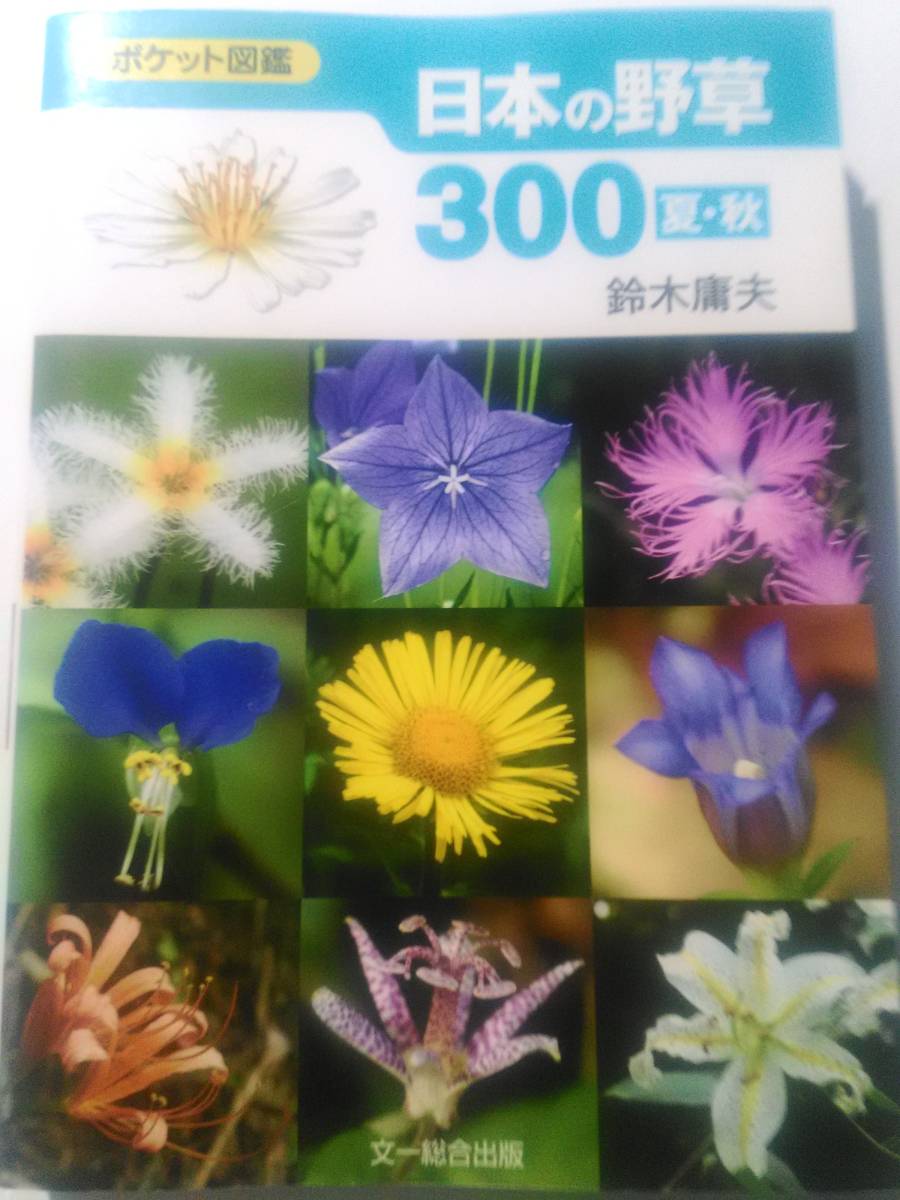 2025年最新】Yahoo!オークション -日本の野草(本、雑誌)の中古品 2025年最新】Yahoo!オークション -日本の野草(本、雑誌)の中古品