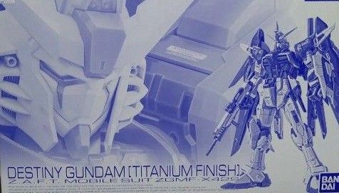RG 1/144 デスティニーガンダム チタニウムフィニッシュ