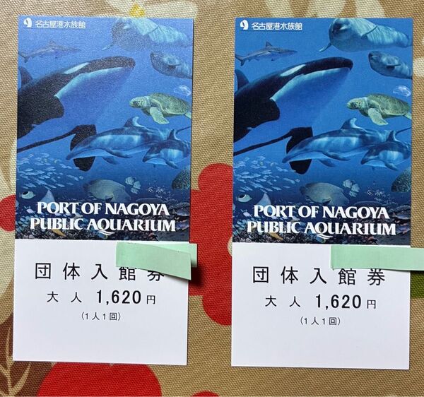 名古屋港水族館 入場券 大人2枚