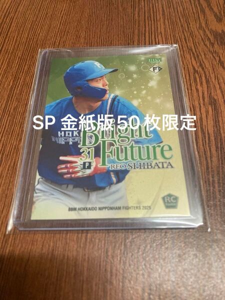 BBM2025 日本ハムファイターズ 柴田獅子 SP 金紙版 50枚限定