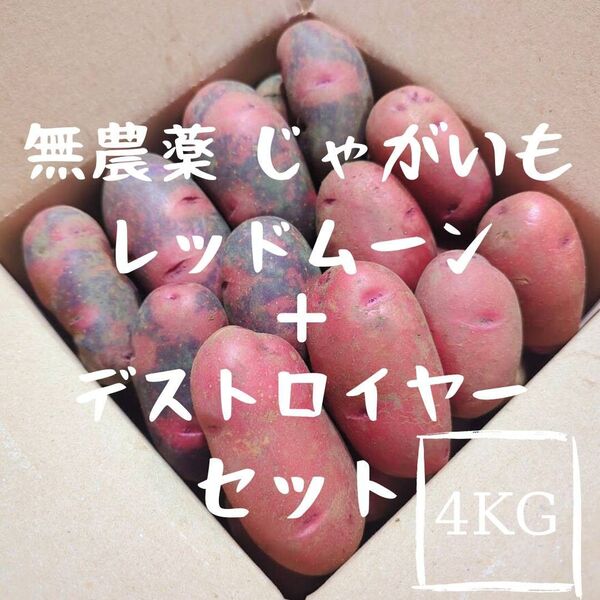 千葉県産 新じゃがいも レッドムーン + デストロイヤー 4kg