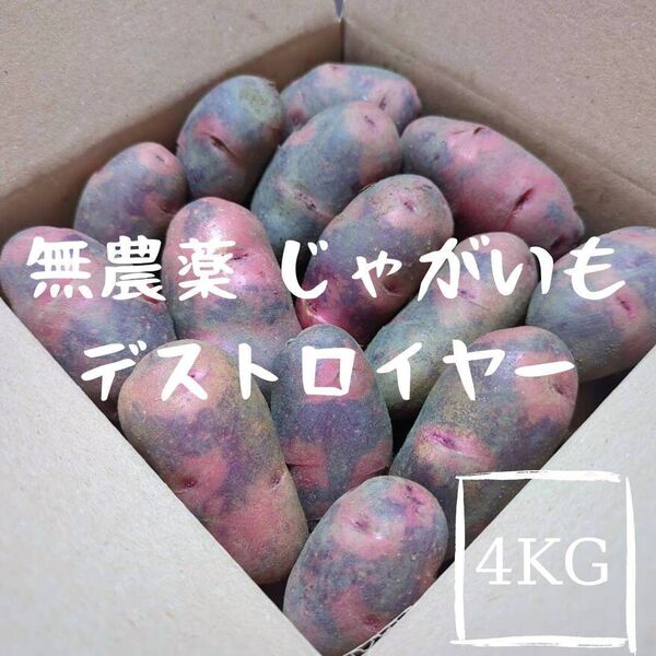 千葉県産 新じゃがいも グランドペチカ デストロイヤー 4kg