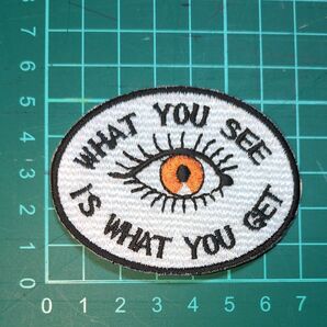 What You See Is What You Get ワッペン オレンジ ヴィンテージレプリカ