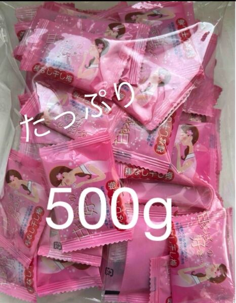 沖縄 種なし干し梅甘ずっぱいの好き (500g入)