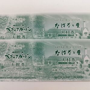 なばなの里入村券 ベゴニアガーデン入館券 2枚