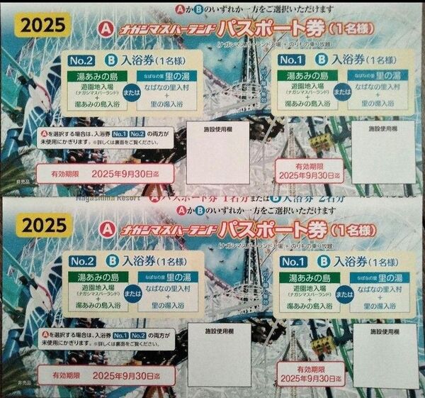 ナガシマスパーランド パスポート券 2枚