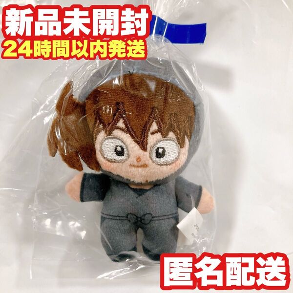 【土井半助】劇場版 忍たま乱太郎 ほわぬい ぬいぐるみ マスコット 土井先生