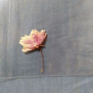 桜のドライフラワー