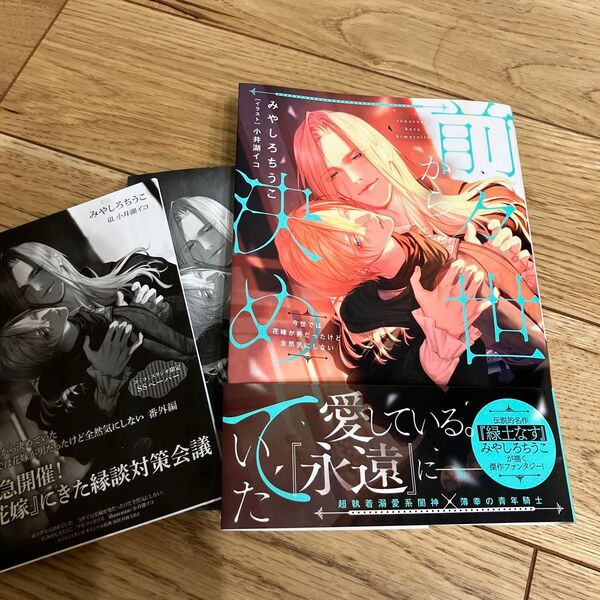 前々世から決めていた みやしろちうこBLコミック