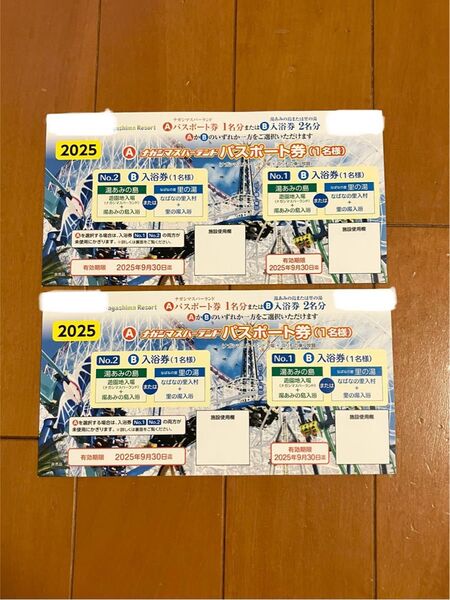 ナガシマスパーランド パスポート券 2枚