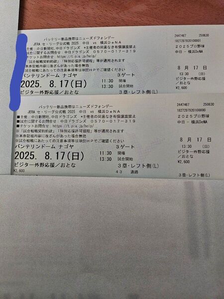 中日vs横浜DeNA 野球観戦チケット 2枚 8/17(日) ビジター外野応援席 バンテリンドームナゴヤ