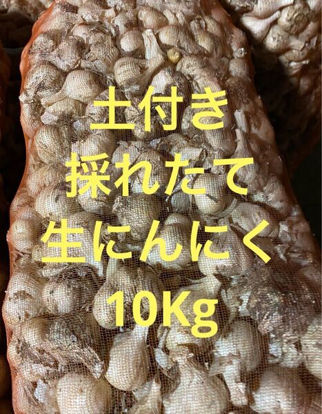 青森県 生にんにく10Kg 2L .L