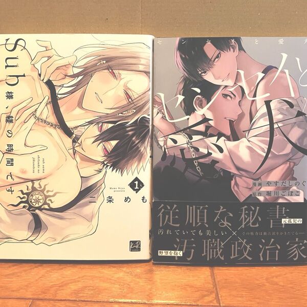 sub様、躾の時間です 二条めも センセイと愛犬 やすだしのぐ 堀川ごぼこ 2冊セット