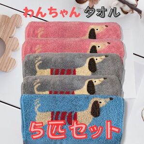 かわいいドッグ柄タオル 5枚セット ダックス ハンドタオル 子供フェイスタオル 765