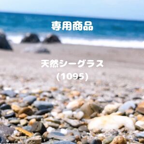 天然シーグラス(1095) 専用商品 さんかく 小〜中サイズ ブルー系・グリーン系・ホワイト