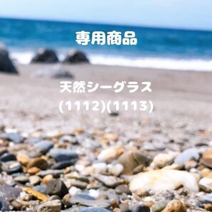 天然シーグラス(1112)(1113)専用商品 ブルー系・グリーン系・ホワイト 小〜中サイズ