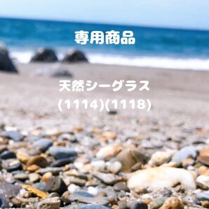 天然シーグラス(1114)(1118) 専用商品