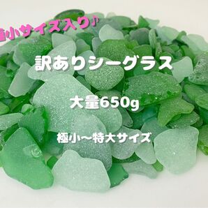 天然シーグラス(1123) 訳ありシーグラス グリーン系 極小〜特大サイズ