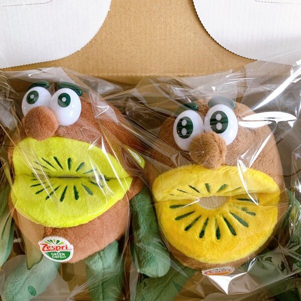 Zespri ゼスプリ キウイブラザーズ キーホルダータイプ ぬいぐるみ 2個